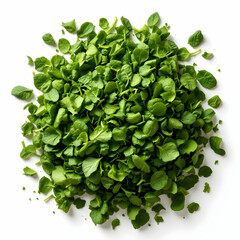 Fototapeta premium Freshly Harvested Organic Arugula Leaves Gathered Together On An Isolated Background
