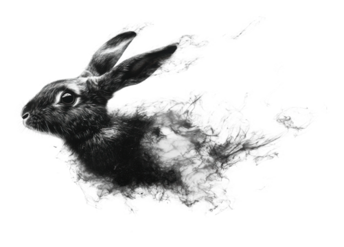 Rabbit silhouette emerging from smoke effect isolated on transparent background - Powered by Adobe