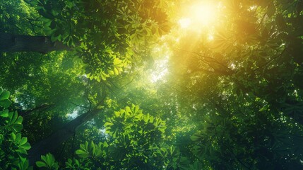 Fototapeta premium Sunlight shines through lush green leaves in a forest canopy. AI generative. .