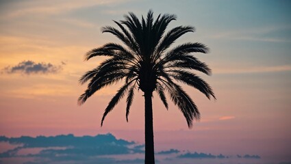 Obraz premium A striking silhouette of a palm tree at dusk creating a warm vibe.