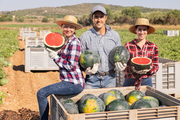 Obraz premium Team of male and female farm workers posing with freshly picked watermelons in field, satisfied with good harvest