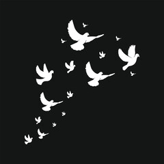 A flock of flying swallows, bird silhouettes in the sky. Wild Birds Unlimited: bird food, feeders, and feeding.