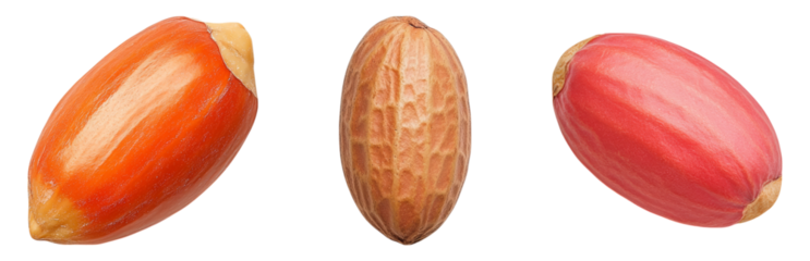 Different Types of Nuts on White  Isolated on transparent background