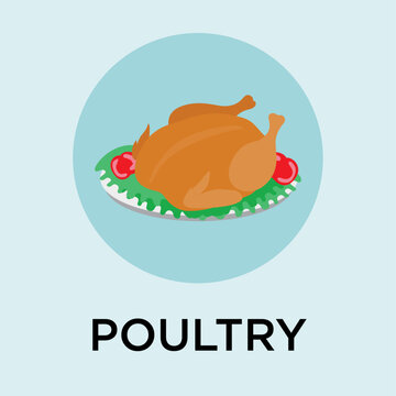 Flat style vector icon of a turkey poultry meal on a plate in a circle
