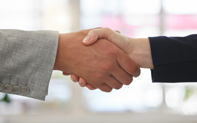 Employees, handshake and introduction in office for respect, greeting and welcome to company....