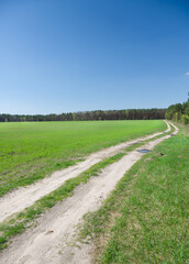 Road near wood and green field.