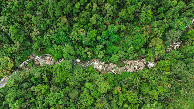 Arial Photo from a waterval in the mountains of the countryside of Paraty, Brazil.