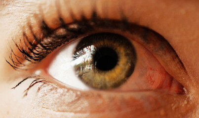 Macro fotografía de Ojo