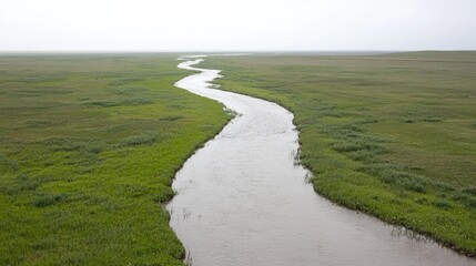 Fototapeta premium Winding river through grassy plain, overcast sky. Nature background, travel brochure
