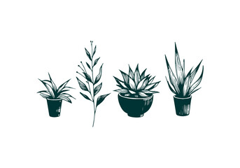 Mixed Decorative Plant hand drawn sketch vector illustration isolated
