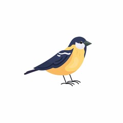 Obraz premium blue tit on white background