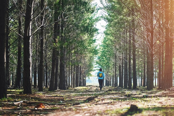 Woman, back and athlete running in forest, outdoor exercise and challenge for marathon training....
