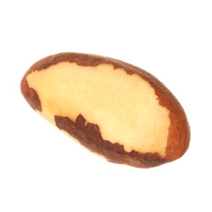 One tasty Brazil nut isolated on white