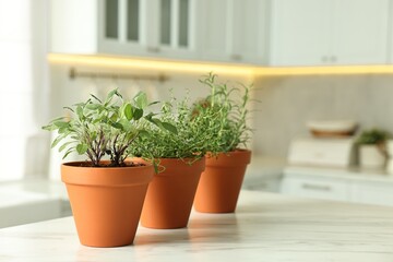 Different aromatic herbs in pots on white marble table in kitchen, space for text