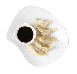Tasty gyoza (dumplings) and soy sauce isolated on white, top view