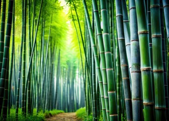 Fototapeta premium Black and white photography captures a peaceful bamboo garden's serene, Zen-like atmosphere.
