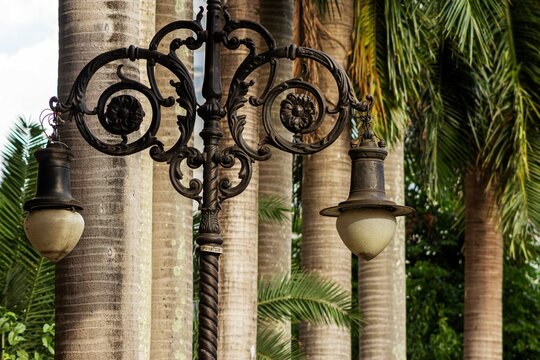 Coqueiros e poste de rua no Centro Hist&oacute;rico da cidade de S&atilde;o Paulo. 