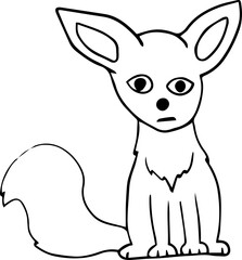 sad little fennec fox sitting and looking at camera