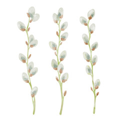 Hand-drawn watercolor illustration of three elegant willow branches with white buds. Perfect for wedding invitations, botanical prints, minimalist home decor, romantic greeting cards or web posts