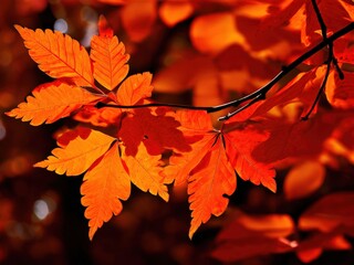 the AI Image Generator, Vivid Orange Autumn Leaves on Tree Branch