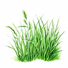 Obraz premium the AI Image Generator, Watercolor Illustration of Vibrant Green Grass