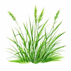 the AI Image Generator, Watercolor Illustration of Vibrant Green Grass