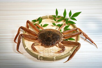 活きた極上のオオズワイガニ