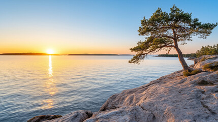 Solitary Pine at Sunset: A lone pine tree dramatically leans over a rocky shoreline, silhouetted against a breathtaking sunset over calm water.