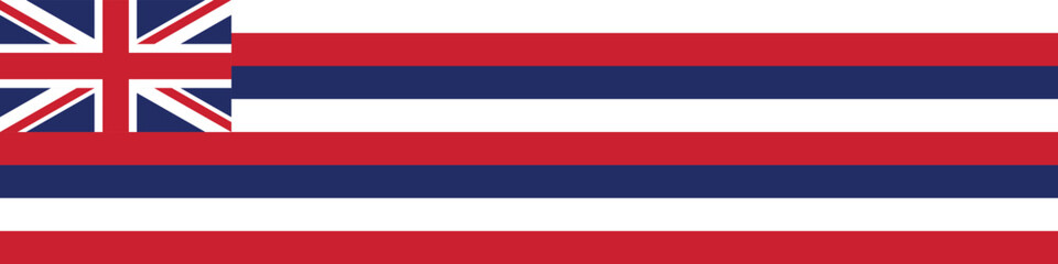 Hawaii flag long banner digital vector illustration