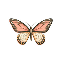 Fototapeta premium Delicate Pink Butterfly: A delicate butterfly with vibrant pink and orange wings, delicately poised on a white background. It's a simple yet graceful illustration of natural beauty. 