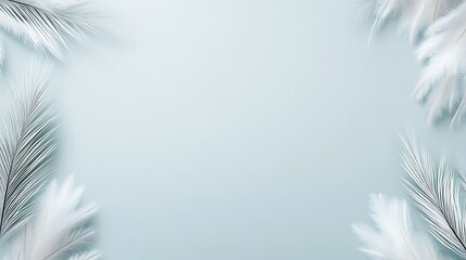 Obraz premium White Feathers and Palm Fronds on a Light Blue Background