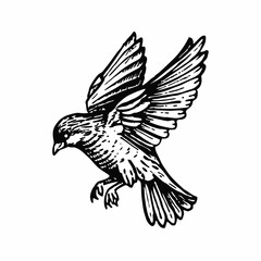 Graceful Bird in Flight, Black and White Illustration of a Bird Spreading Its Wings in Mid-Air, Detailed Artwork of a Flying Bird with Intricate Feather Designs