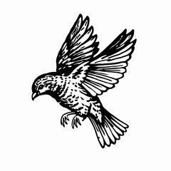 Graceful Bird in Flight, Black and White Illustration of a Bird Spreading Its Wings in Mid-Air, Detailed Artwork of a Flying Bird with Intricate Feather Designs