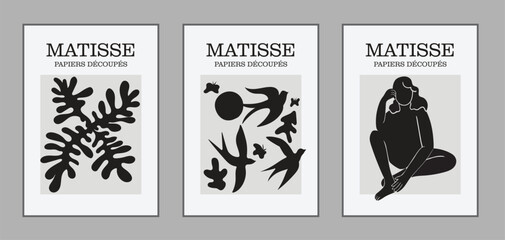 Matisse Abstract Paintings, Illustration, Modern Aesthetic Art, Boho Decor, Minimalist Art, Vector, Poster, Postcard. Collection of trendy floral decorations and creative art.