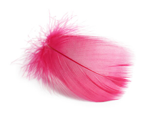One fluffy light feather isolated on white