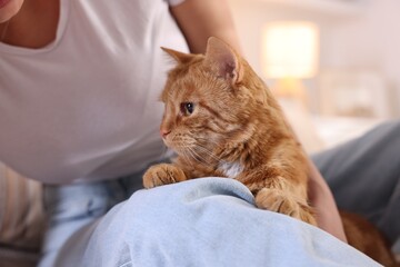 Woman with her cute ginger cat at home, closeup
