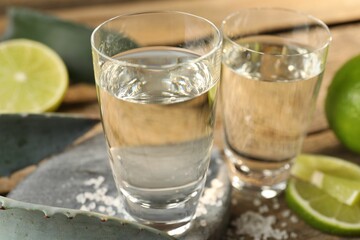 Tequila shots with salt, limes and agave leaves on table, closeup