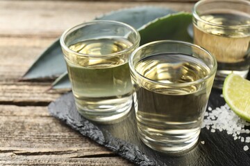 Mexican tequila shots, slice of lime, salt and agave leaves on wooden table, closeup