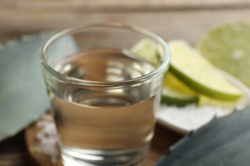 Tequila shot with lime slices and agave leaves on table, closeup
