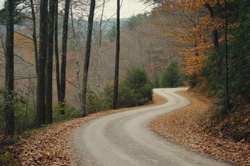 Fototapeta premium Winding forest road in autumn with fallen leaves and bare trees