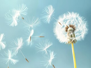 Obraz premium Dandelion seeds blowing in the wind against a blue sky background