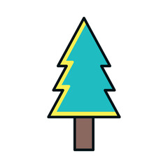 Fototapeta premium Evergreen tree representing nature and adventure