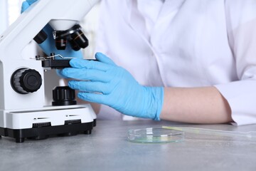 Laboratory testing. Scientist examining sample under microscope at grey table indoors, closeup