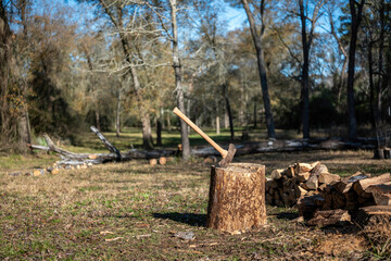 Ax in log surrounded by stack of split firewood in a meadow with fallen trees on homestead, farm, ranch or campsite