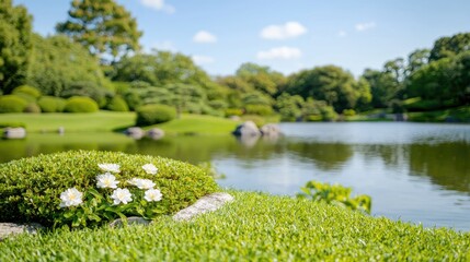Obraz premium Serene Japanese garden pond, white flowers, lush greenery