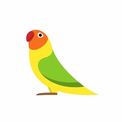 vector illustration of a parrot