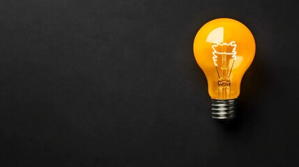 Illuminated Idea: A single, glowing amber light bulb stands out against a stark black background, symbolizing inspiration, innovation, and new ideas.  