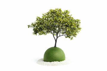 Green Tree Growing on Oval Shaped Soil Ball Isolated on White Background
