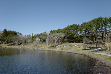 Tranquil Lakeside Scenery at Hoshino Resorts Oirase Keiryu in Early Spring