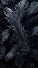 Fototapeta premium Delicate Black Feather Texture: A Dark, Romantic Background